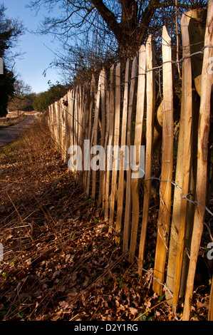 Kastanien Paling Stick und Draht Zäune Stockfoto