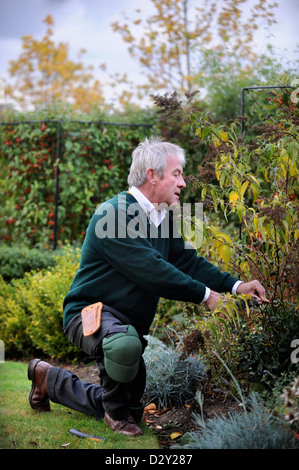 Der Gärtner Roddy Llewellyn zu Hause in der Nähe von Shipston auf Stour wo er Gartenarbeit leitet Kurse UK 2009 Stockfoto