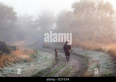 Ein am frühen Morgen Dogwalker auf Chobham gemeinsame National Nature reserve. Mit frühen Morgennebel steigt an einem herbstlichen Tag. Stockfoto