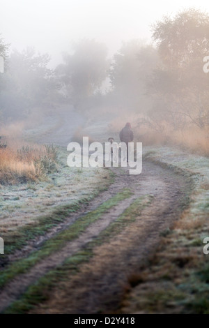 Ein am frühen Morgen Dogwalker auf Chobham gemeinsame National Nature reserve. Mit frühen Morgennebel steigt an einem herbstlichen Tag. Stockfoto