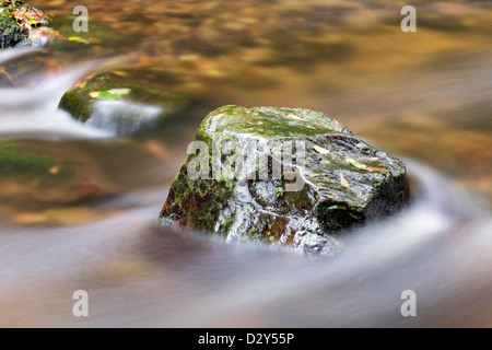 Flechten Sie bedeckte Felsen mit frischem klarem Wasser Rauschen durch. Stockfoto