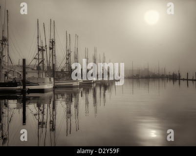 Sunrise durch Nebel mit Booten im Hafen von Newport. Oregon Stockfoto