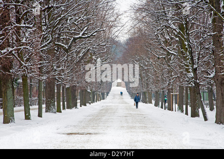 Wien - Gasse aus Gärten des Palastes Schonbrun im winter Stockfoto