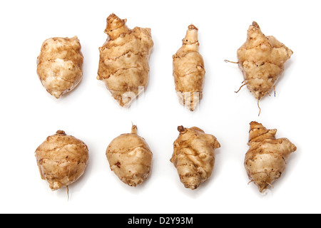 Topinambur (Helianthus Tuberosus) isoliert auf einem weißen Studio-Hintergrund. Stockfoto