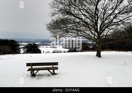 Albury Downs in der Nähe von Guildford mit schweren Schnee bedeckt Stockfoto