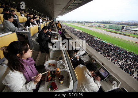 Tokio, Japan, Menschen am Tag des Japan-Cup auf der Pferderennbahn Fuchu Stockfoto