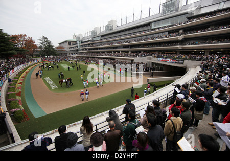 Tokio, Japan, mit Blick auf die Fuehrring hinter der Tribüne der Rennbahn Fuchu Stockfoto