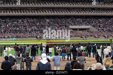 Tokio, Japan, Zuschauer am Tag des Japan-Cup auf der Pferderennbahn Fuchu Stockfoto