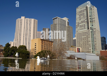 Skyline von San Francisco von Yerba Buena gardens Stockfoto