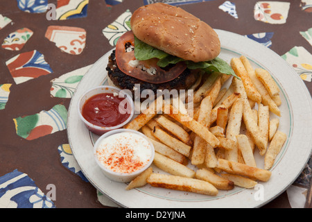 Stil des mittleren Ostens würzigen Lamm Adana Burger mit Salat und Tomaten, garniert mit gewürzte Pommes und Dressing serviert. Stockfoto