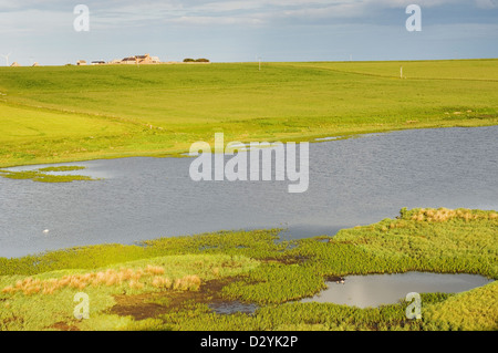 Mill Dam RSPB Reserve auf der Insel Shapinsay, Orkney Inseln, Schottland. Stockfoto