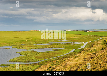 Mill Dam RSPB Reserve auf der Insel Shapinsay, Orkney Inseln, Schottland. Stockfoto