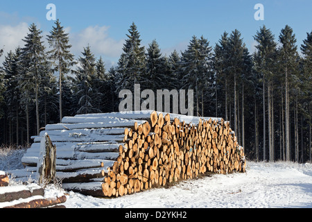 Haufen von Baumstämmen in der Nähe von Drei Annen Hohne, Harz Mountains, Sachsen-Anhalt, Deutschland Stockfoto