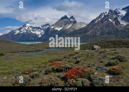 Lago Nordenskjold und das Paine-massiv, Torres del Paine Nationalpark, Patagonien, Chile Stockfoto