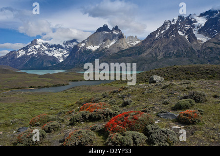 Lago Nordenskjold und das Paine-massiv, Torres del Paine Nationalpark, Patagonien, Chile Stockfoto