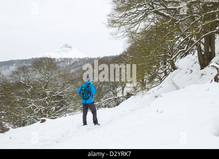 Männliche Wanderer in Newton Holz in der Nähe von Great Ayton mit Schnee Roseberry Topping in zurückgelegte Strecke. North Yorkshire, England, Großbritannien Stockfoto