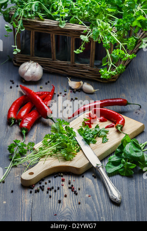 Frische Kräuter und Gewürze frisch geerntet Stockfoto