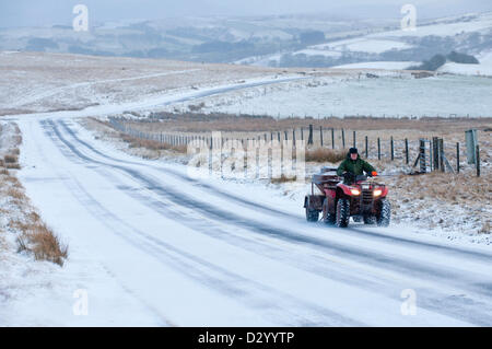 Cambrian Mountains, Wales, UK. 5. Februar 2013. Wog Schafzüchter kommt auf einem Quad-Bike, seine Schafe füttern einen Zuschlag von Rüben Zellstoff- und Mais-Silage. Nach 10 Tagen heftige milden nassen und windigen Wetter wurde Wales durch Gewitter und Blizzard Bedingungen heute morgen getroffen. Die meisten des Niederschlags war in Form von Hagel und Graupel. Bildnachweis: Graham M. Lawrence/Alamy Live-Nachrichten. Stockfoto