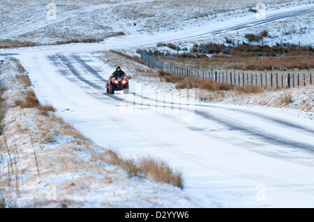 Cambrian Mountains, Wales, UK. 5. Februar 2013. Wog Schafzüchter kommt auf einem Quad-Bike, seine Schafe füttern einen Zuschlag von Rüben Zellstoff- und Mais-Silage. Nach 10 Tagen heftige milden nassen und windigen Wetter wurde Wales durch Gewitter und Blizzard Bedingungen heute morgen getroffen. Die meisten des Niederschlags war in Form von Hagel und Graupel. Bildnachweis: Graham M. Lawrence/Alamy Live-Nachrichten. Stockfoto