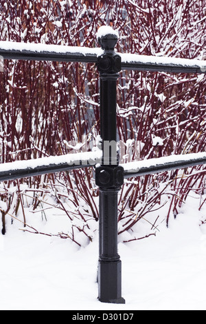 Schneebedeckte Geländer vor einem roten stemmed Cornus. Stockfoto