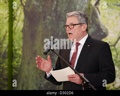 Berlin, 5. Februar 2013.  Deutscher Finanzminister Wolfgang Schaeuble verleiht Bundespräsident Joachim Gauck die Nächstenliebe Briefmarken. Der deutsche Bundespräsident Joachim Gauck knüpft an die Tradition seiner Vorgänger und übernimmt die Schirmherrschaft für die Charity-Briefmarken.  Joachim Gauck erhält den ersten Ausgaben der Nächstenliebe Briefmarken im Jahr 2013 durch den Finanzminister im Bellevue Palace in Berlin. Stockfoto