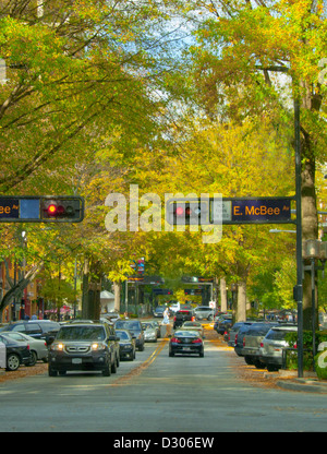 Geschäfte und Restaurants auf der schattigen Hauptstraße in Greenville, South Carolina, USA Stockfoto