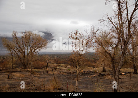 Ocotillo Wells, Kalifornien - Gewitterwolken über Berge im Anza-Borrego Desert State Park. Stockfoto