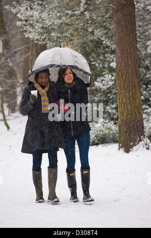 Winterspaziergang - zwei junge Frauen Freunde zu Fuß durch Schneefall in einem Park im Winter, England, UK Stockfoto