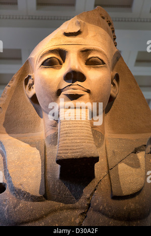 Die kolossale Büste Ramses 11 im British Museum in London. Stockfoto