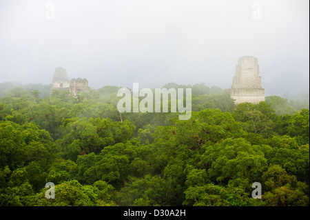 Tikal Maya-Ruinen, Unesco World Heritage Site, Guatemala, Mittelamerika Stockfoto