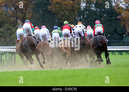 Tokio, Japan, Pferde und jockeys im Rennen Stockfoto