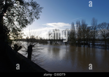 Fluß Severn in Flut in Worcester. Gegenüber dem Dom Bezirke mit Blick beschnitten Bäume im Vordergrund. Stockfoto