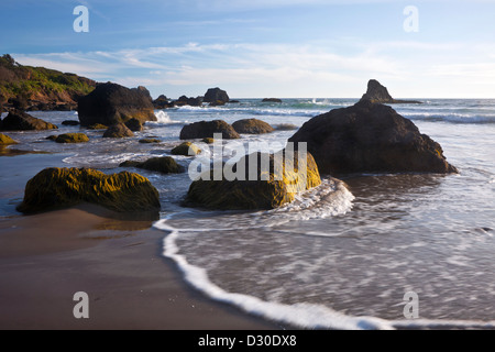 OR00925-00... OREGON - Indian Beach im Ecola State Park in der Nähe von Cannon Beach an Oregons Küste. Stockfoto