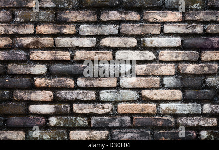 Eine alte Mauer mit Schimmel - architektonischen Hintergrund bedeckt Stockfoto