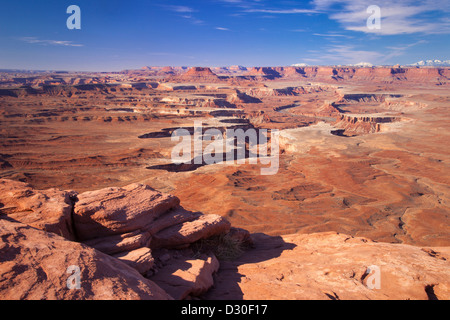 Green River Overlook im Canyonlands National Park, Utah USA Stockfoto