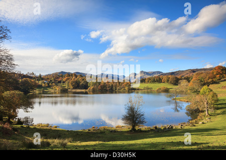 Loughrigg Tarn in den Lake District National Park, mit den Langdale Pikes im Hintergrund sichtbar. Stockfoto