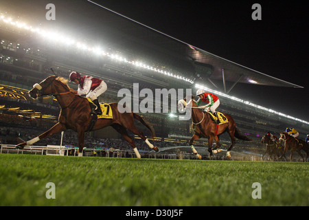Dubai, Vereinigte Arabische Emirate, Pferde und jockeys auf der Rennbahn Meydan Stockfoto
