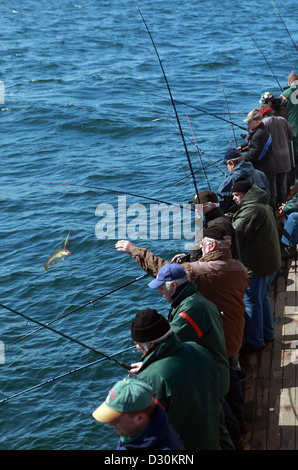 Wismar, Deutschland, Männer im Big Game Fischen in der Ostsee Stockfoto