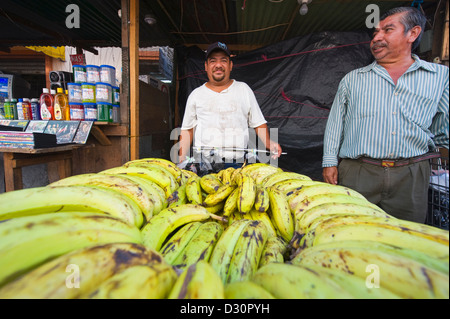 Banane-Verkäufer bei Straßenmarkt, San Salvador (Hauptstadt), El Salvador, Mittelamerika Stockfoto