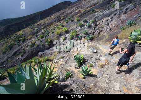 Kakteen und Touristen Wandern auf Volcan Santa Ana (2365m), Parque Nacional Los Vulkane, El Salvador, Mittelamerika Stockfoto