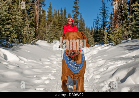 Hund und Mensch Wandern auf Spuren im winter Stockfoto