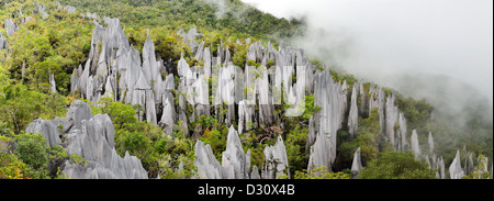 Panoramablick auf Kalkstein Pinnacles von Mount Api, Gunung Mulu National Park. Sarawak, Borneo, Malaysia. Stockfoto