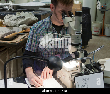 Mann mit Kamera Lucida - USA Stockfoto