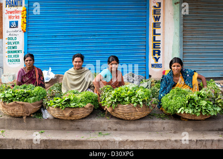 Indische Frauen Kräuter und Blattgemüse aus Körben zu verkaufen. Puttaparthi, Andhra Pradesh, Indien Stockfoto