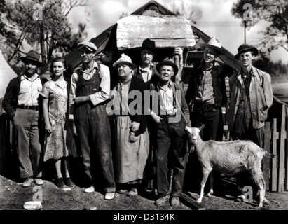 Früchte des Zorns Stockfoto