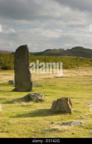 Mitchells Fold Bronzezeit Steinkreis auf Stapeley Hill, Shropshire, England, UK Stockfoto