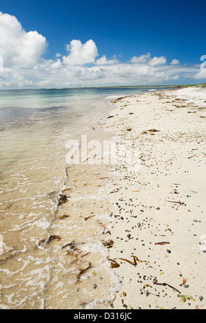 Bucht von Lopness auf der Insel Sanday, Orkney Inseln, Schottland. Stockfoto