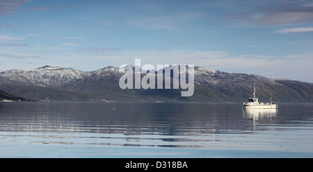 Angelboot/Fischerboot in ruhigen Fjord Gewässern - Nordnorwegen Stockfoto