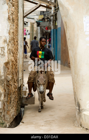 Mann auf einem Esel in einer schmalen Gasse in Lamu Town, Lamu-Archipel, Kenia Stockfoto