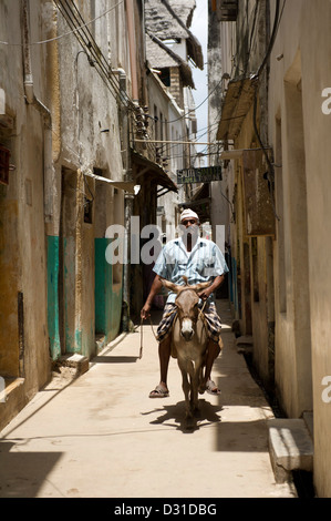 Mann auf einem Esel in einer schmalen Gasse in Lamu Town, Lamu-Archipel, Kenia Stockfoto